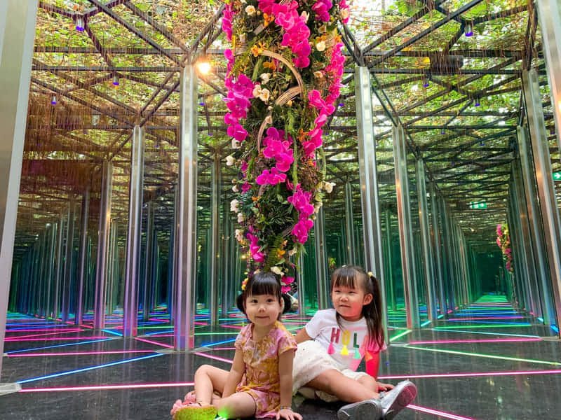 Mirror Maze