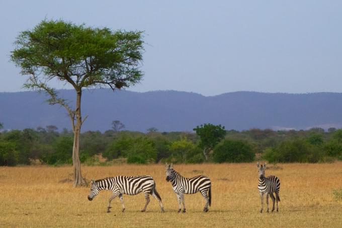 Johannesburg City Parks & Zoo