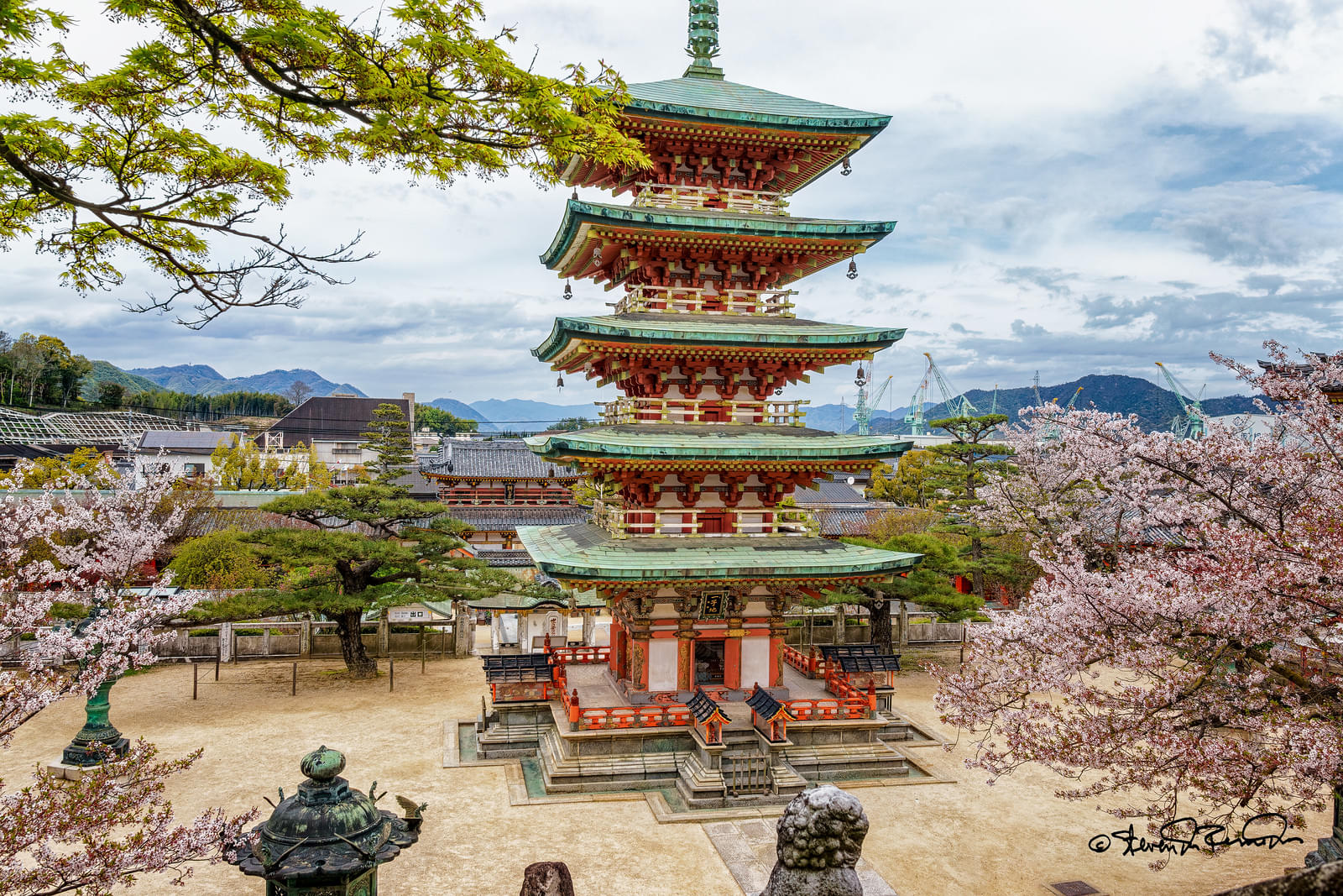 Attend the Cultural Events