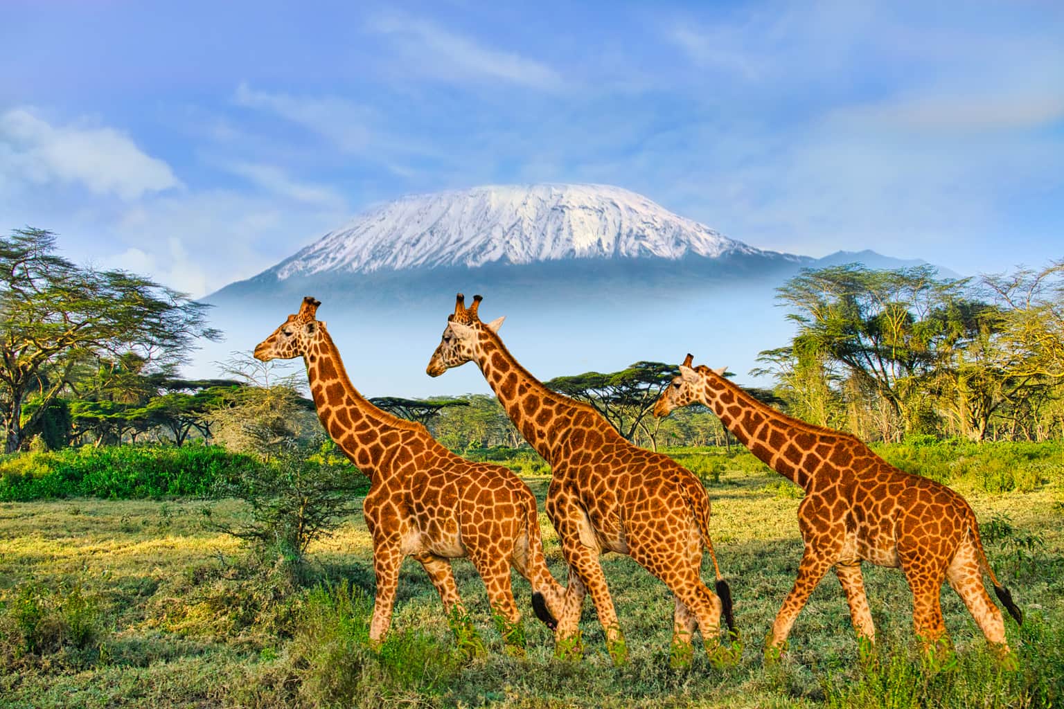 Kenya