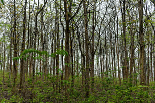 1hd4obfa4r9gt5b9lxglxu4l9zzx shutterstock 1524200720