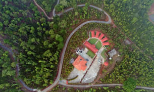 Aerial View amidst Lush Greenery