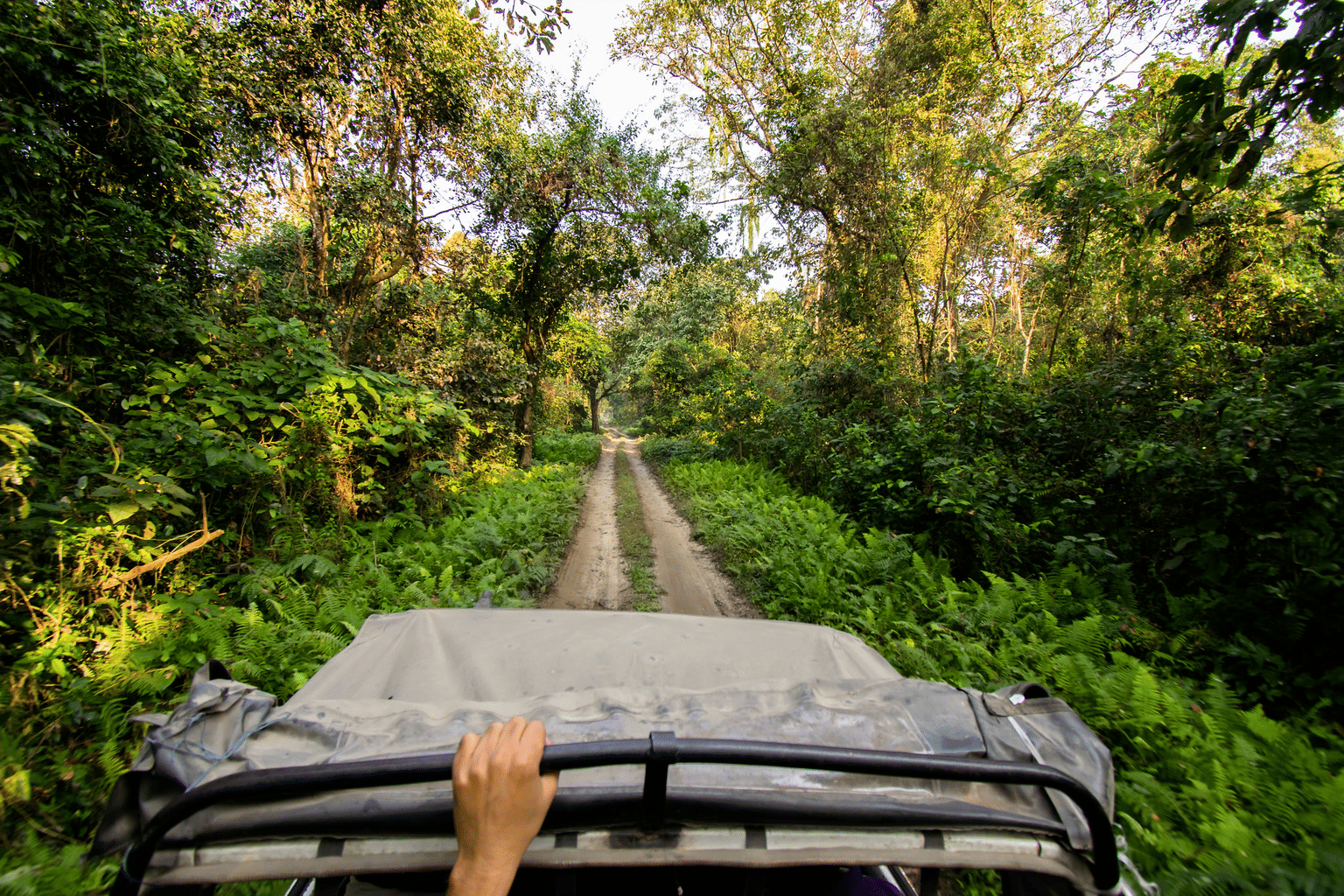 Go on a Jeep safari