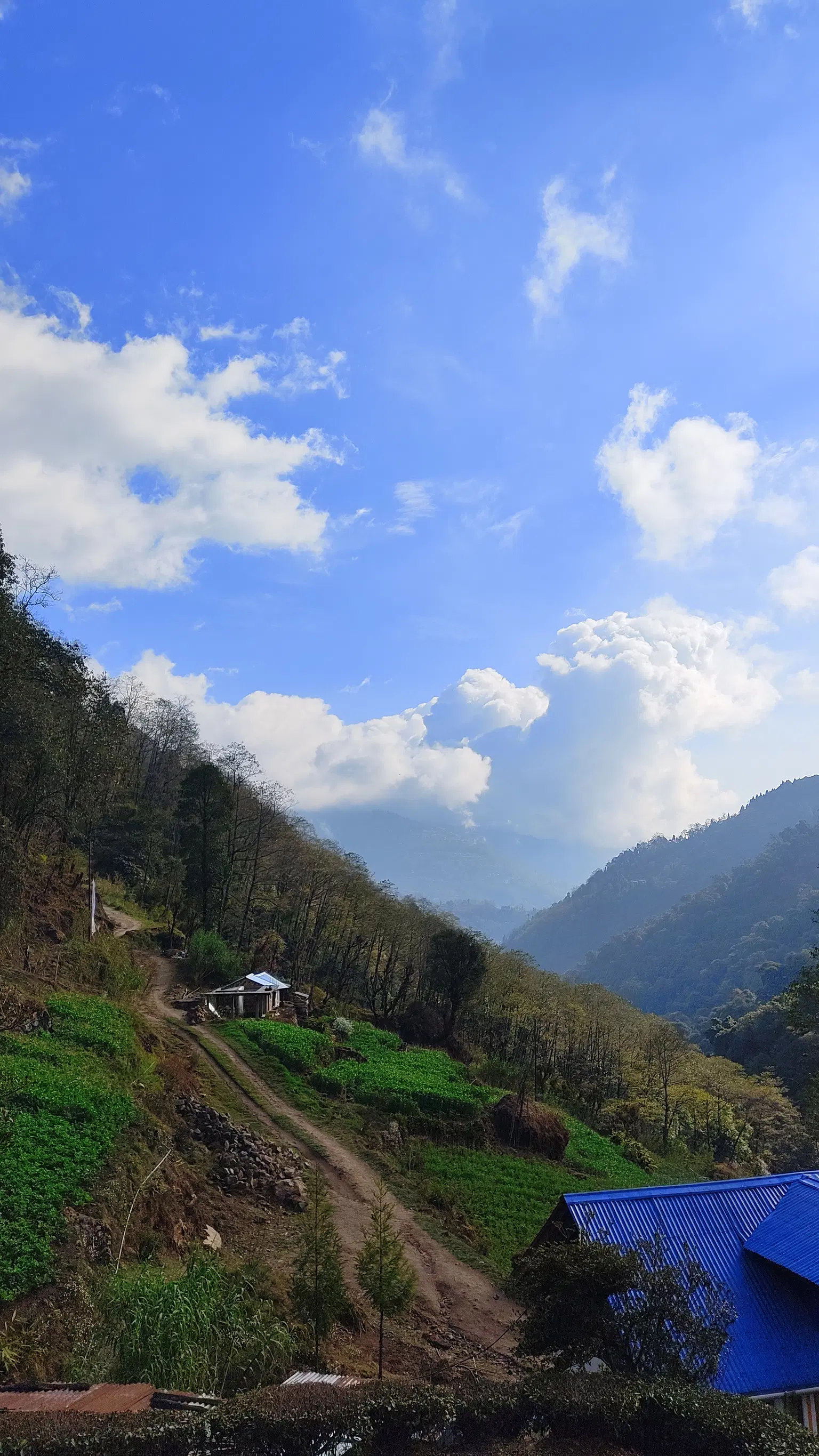 Photo from Vaibhav Jain's trip