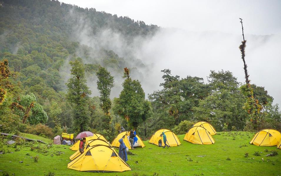 Dayara bugyal trekking campsite