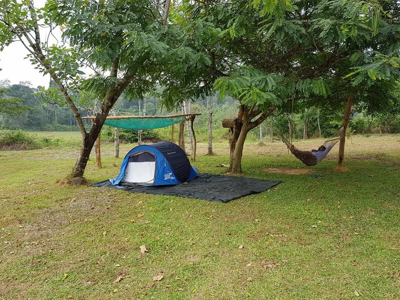 Camping In Coorg  Image