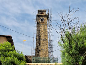 1hu4d097zo8otrkt3yq7ds8ppam3 25648545342 183e658bef b