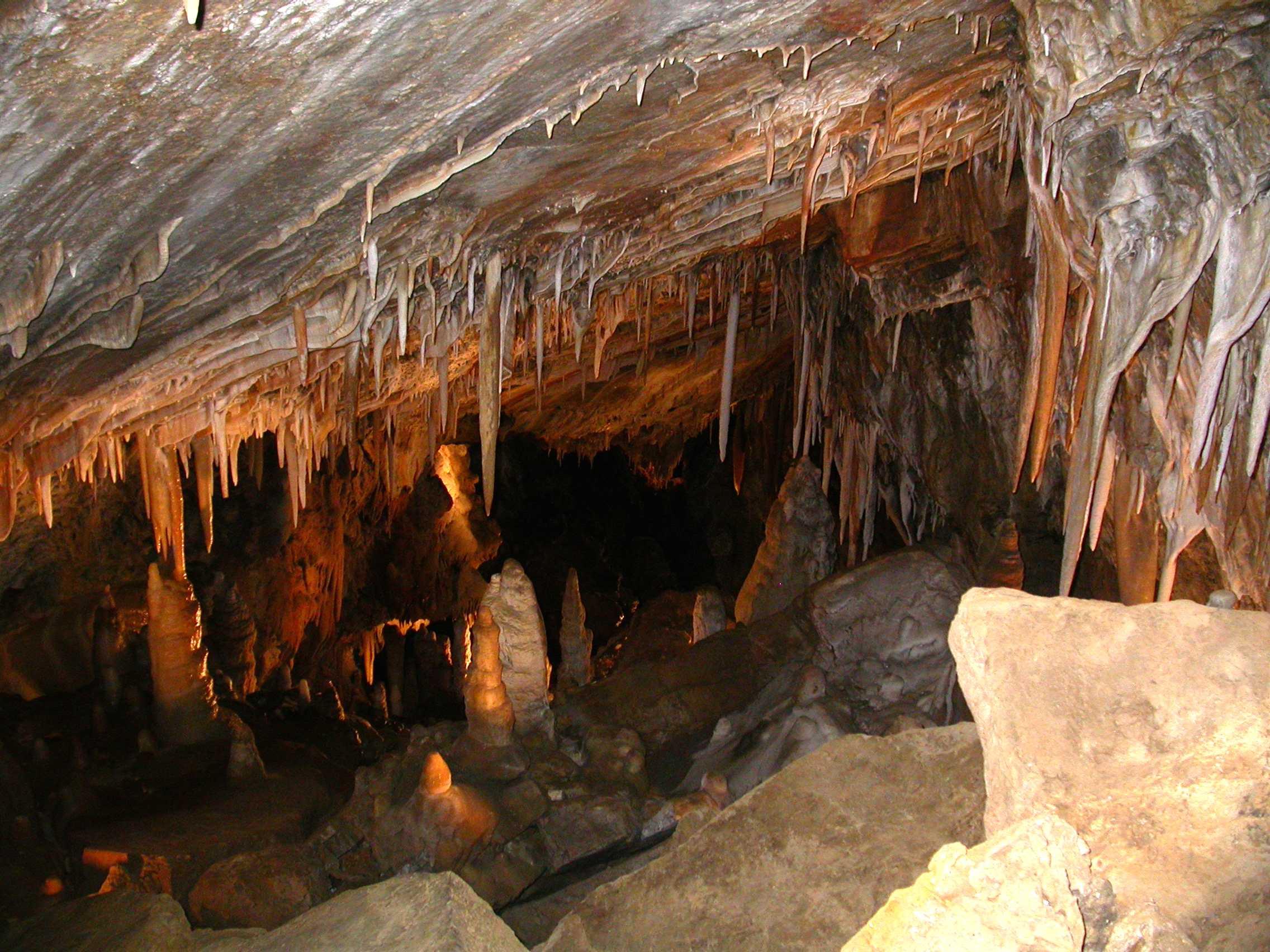 Explore the other chambers