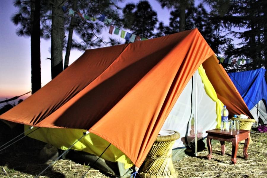 Valley View Camping In Shimla Image