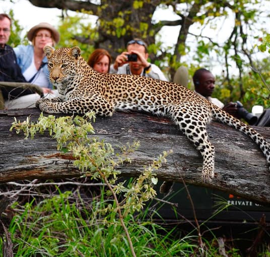 Highlights Of Sri Lanka