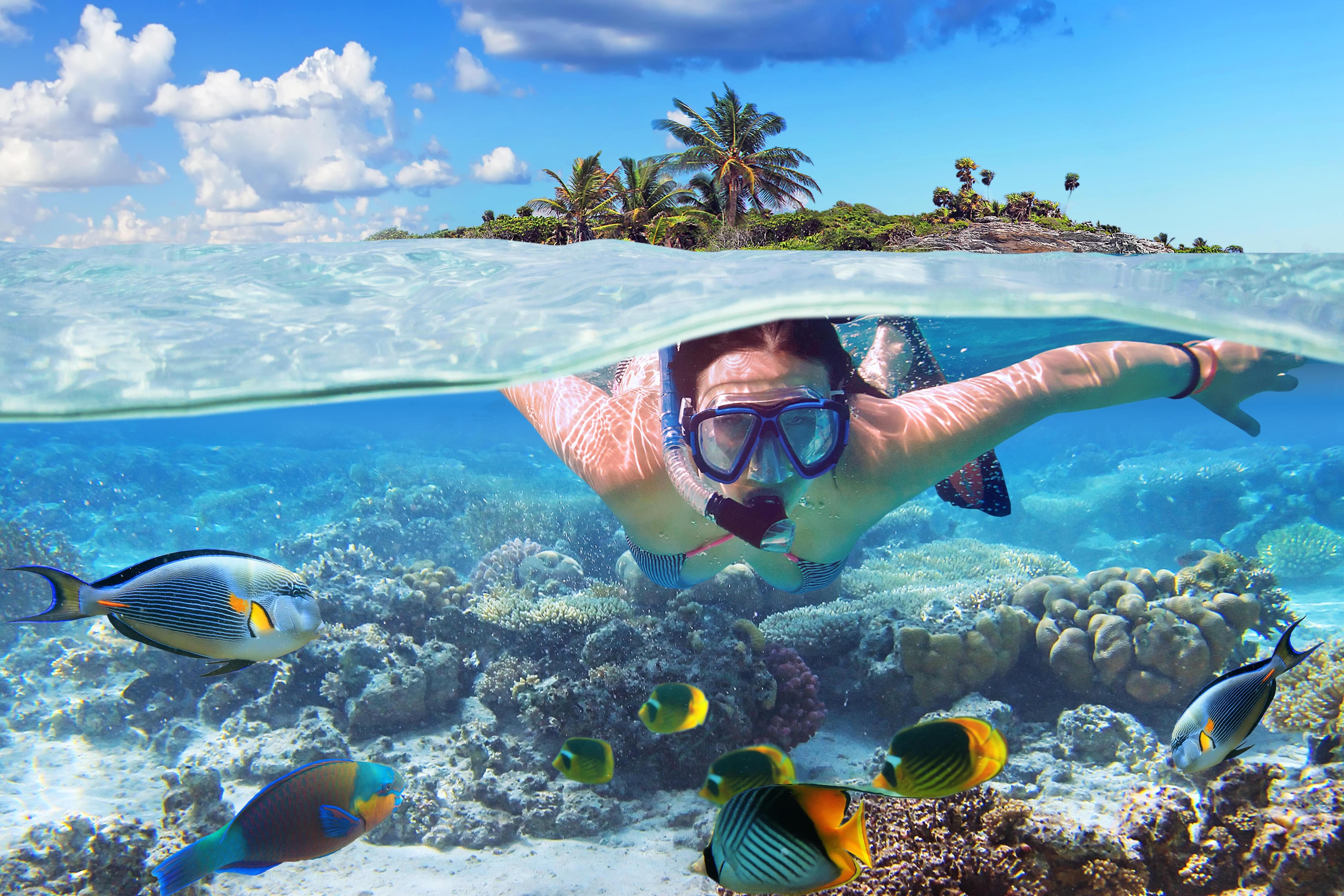 Explore the Underwater World during a Snorkeling Session