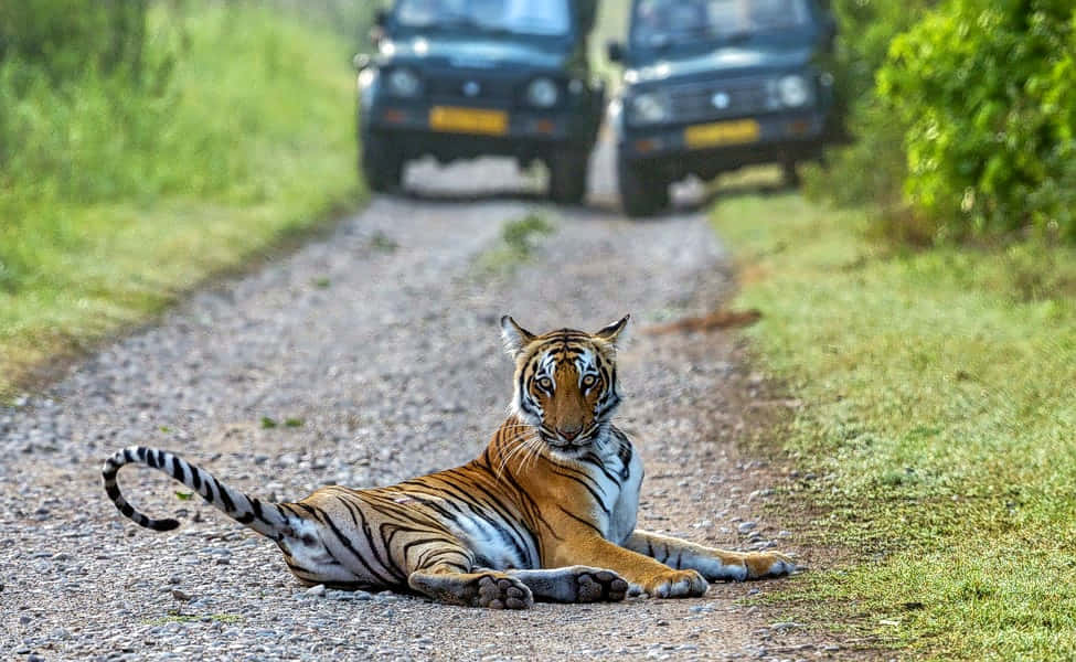 Jim Corbett And Nainital Tour From Delhi