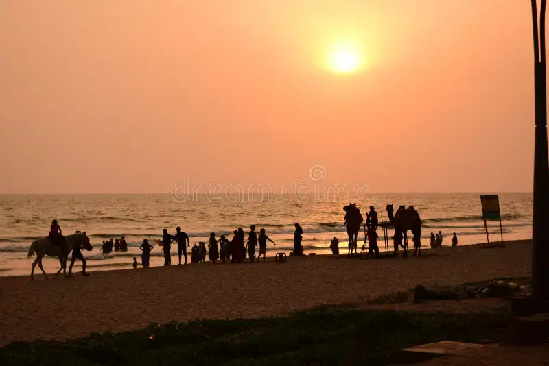 Experience Beach Festivals