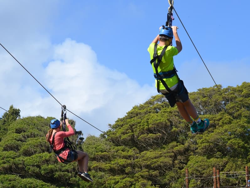 Zipline in Munnar Image