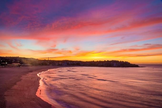 The Grass at North Bondi.jpg