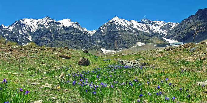 Valley of Flowers in September