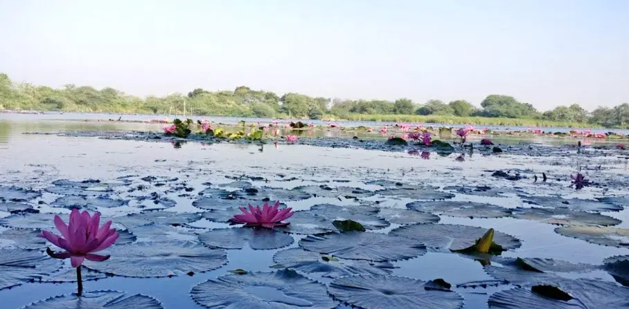 Gavier Lake