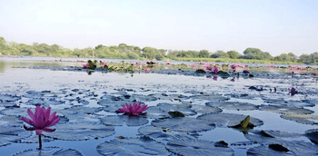 1l1d1z3258aphv5oyyzqsw50jblh screenshot%202022 09 10%20182804