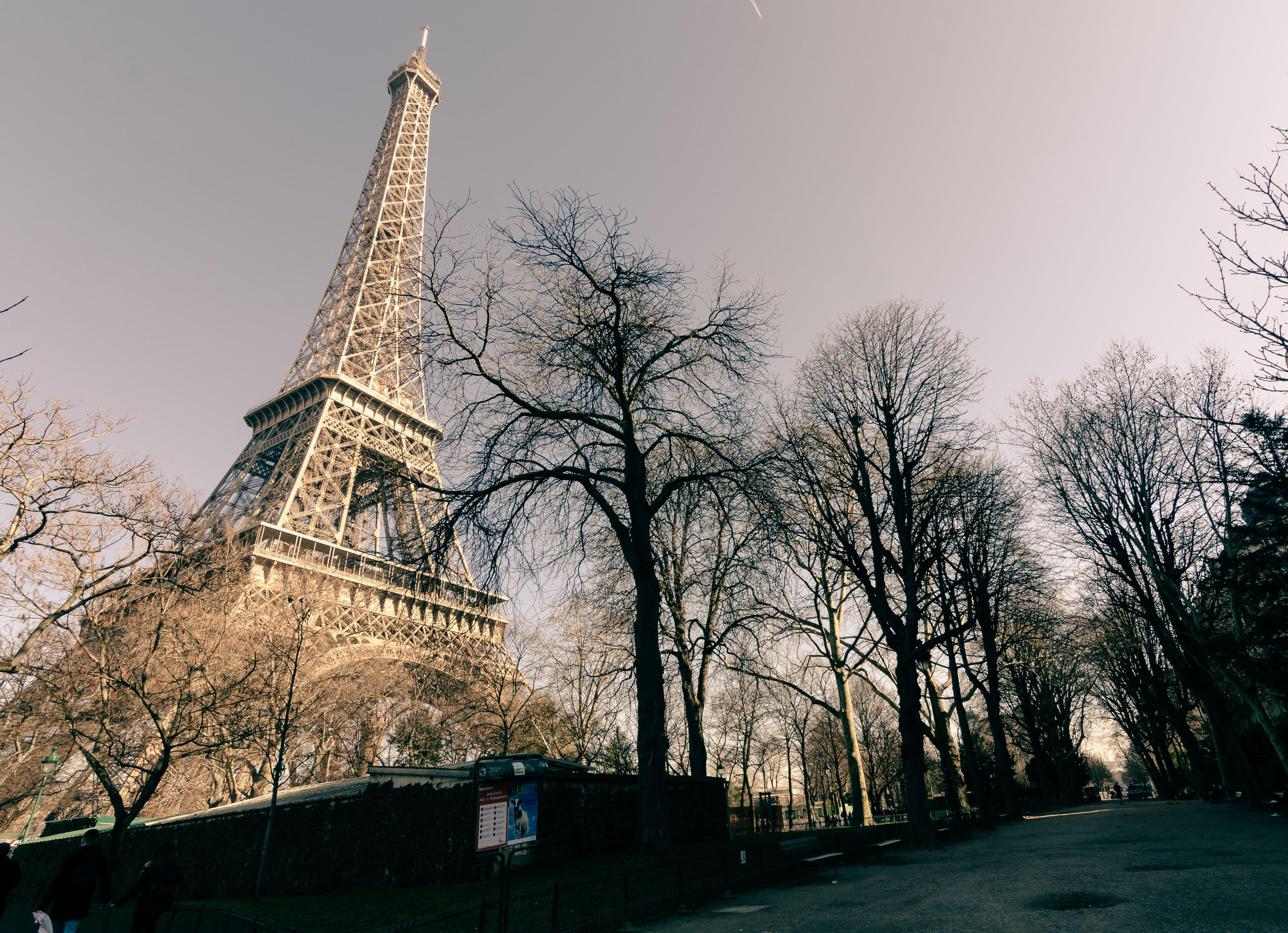 Eiffel Tower in Day