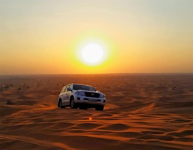 Morning desert safari