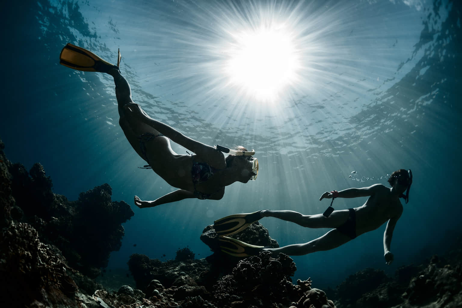 Free Diving