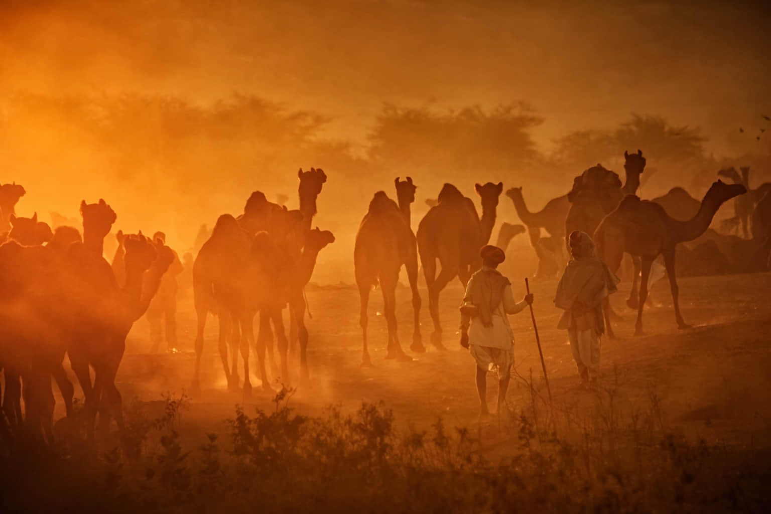 <em>Pushkar</em> Tour Packages From Pune 