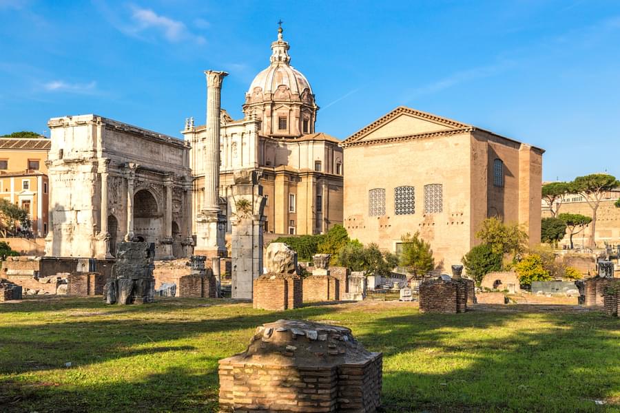 The Curia