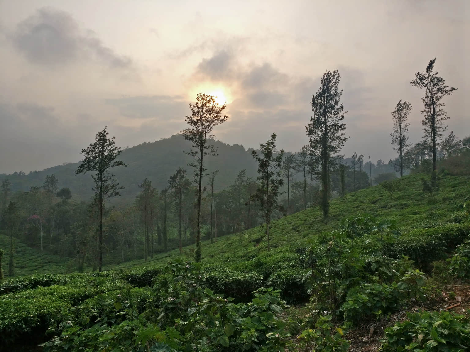 Photo from Deepak Sachdeva's trip
