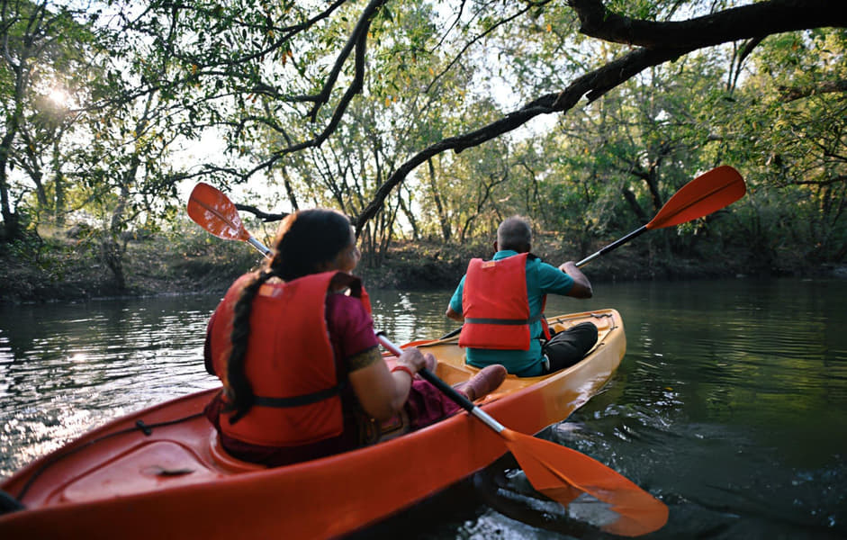 Kayaking in Mangroves Forest Image