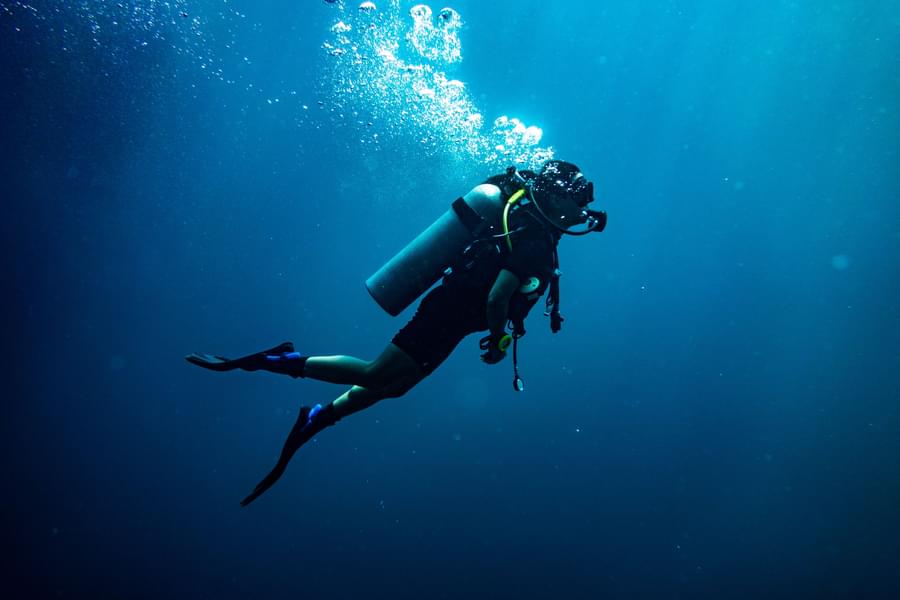 Scuba Diving Course Dubai