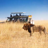 best-of-kenya-with-maasai-mara-serengeti-national-park