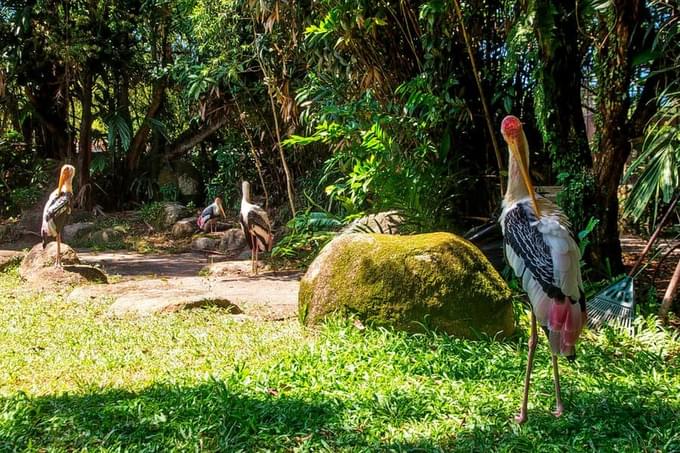 Taman Burung Kuala Lumpur