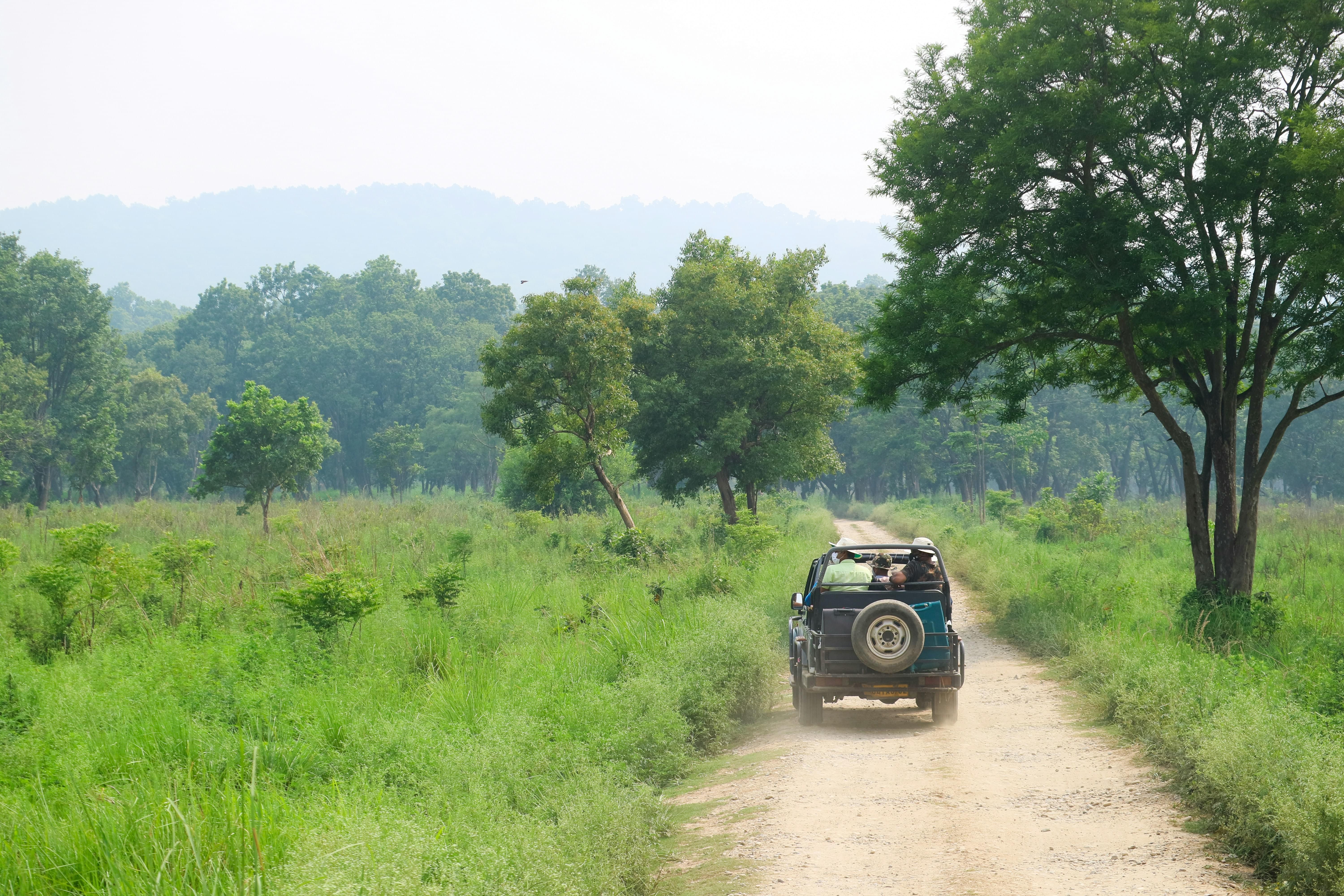 Best Places To Stay in Ramnagar
