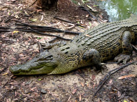 1nlfspj3tl99xf0mx46j87omqs1u 5370860143 3de001a23c o