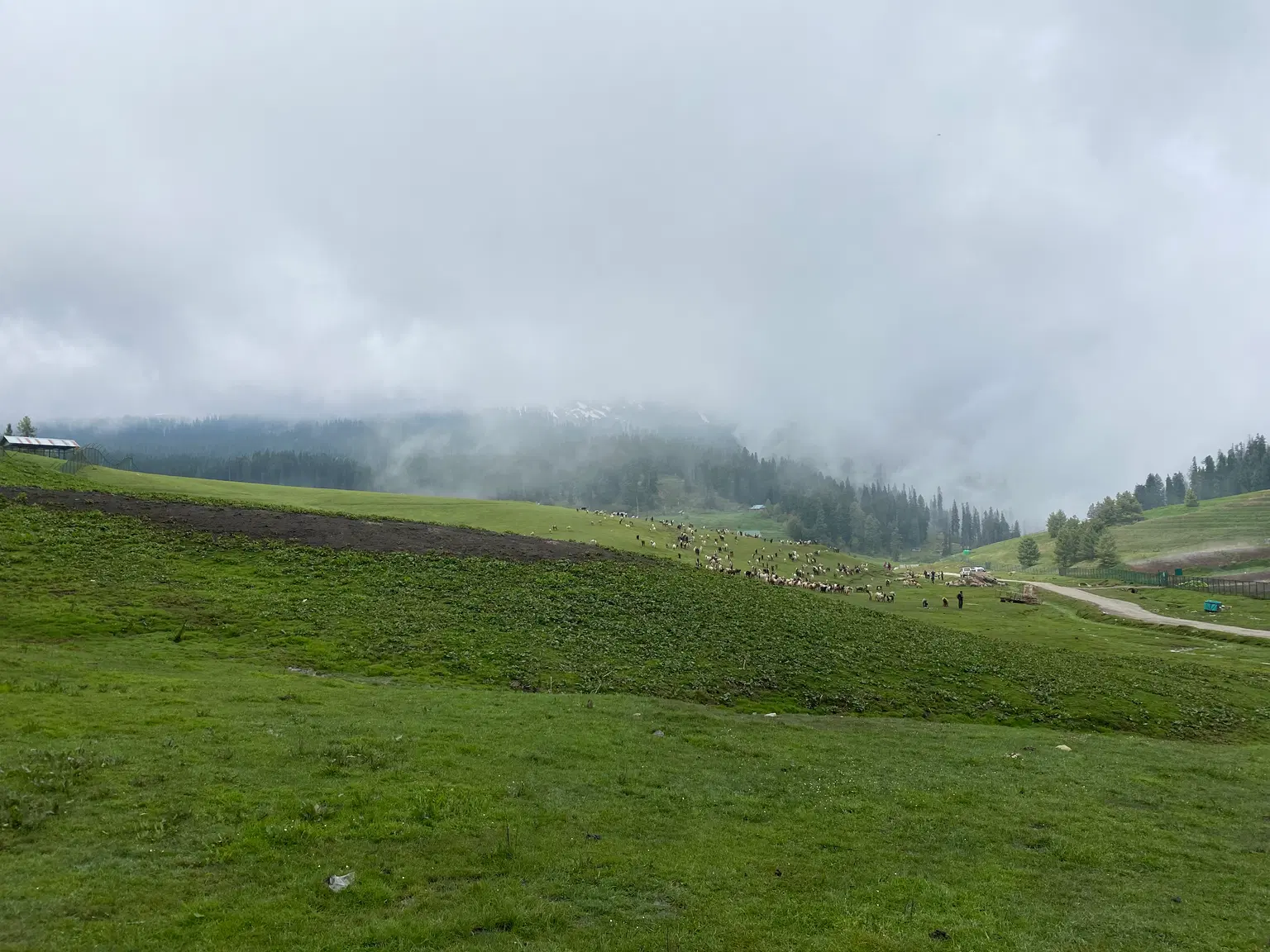 Photo from Preetham P's trip