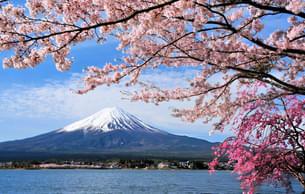 Amazing view of Mt. Fuji 