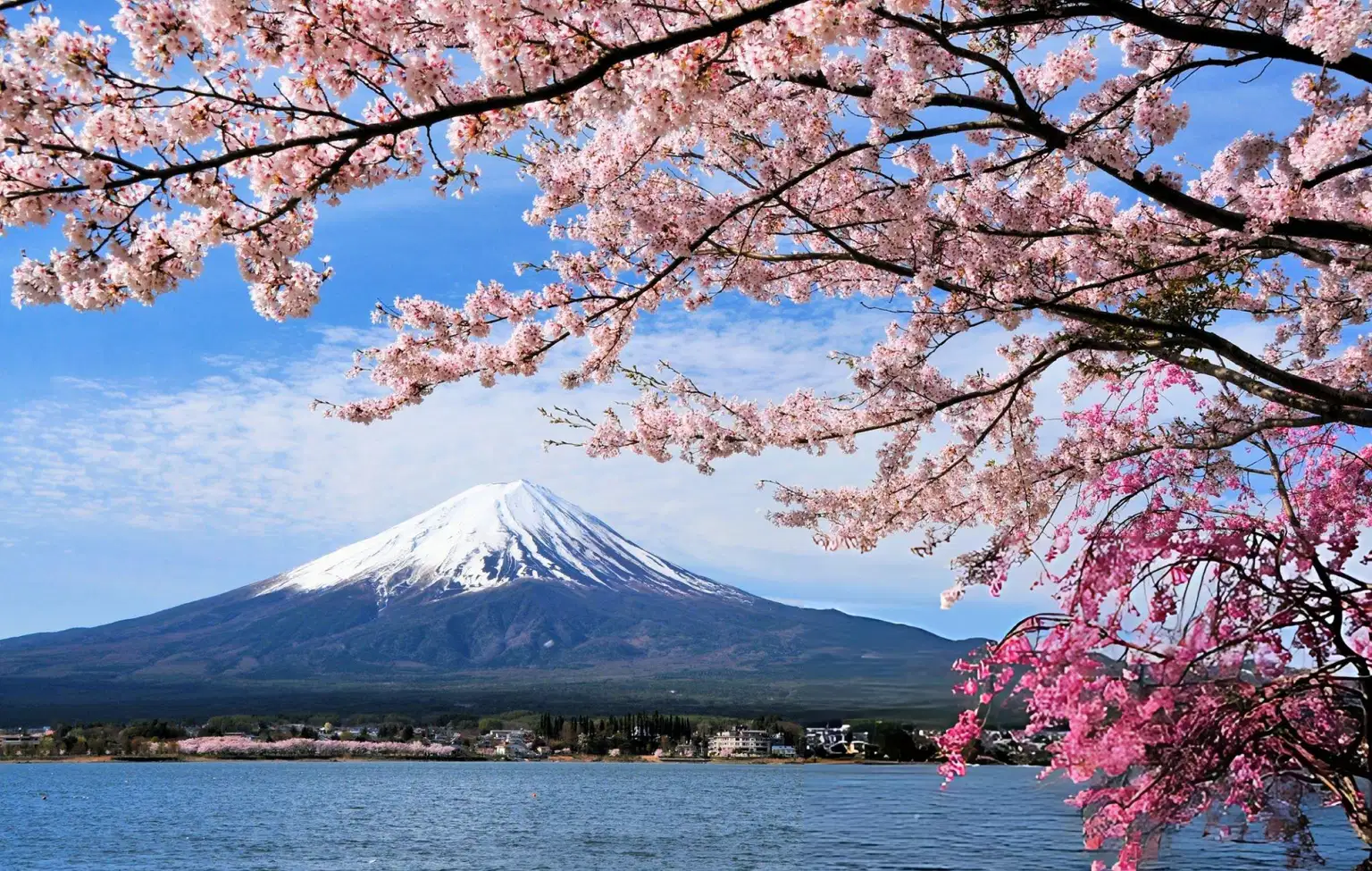 Jewels of Japan | Tokyo to Osaka Discovery