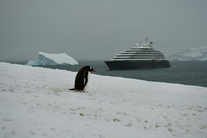 Antarctica Cruises