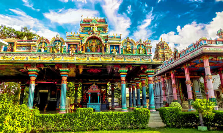 Tapovan Temple, <em>Dehradun</em>