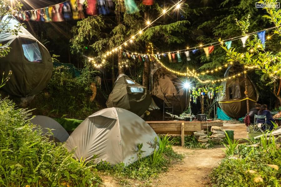 Camping Experiences at Tree Stays Image