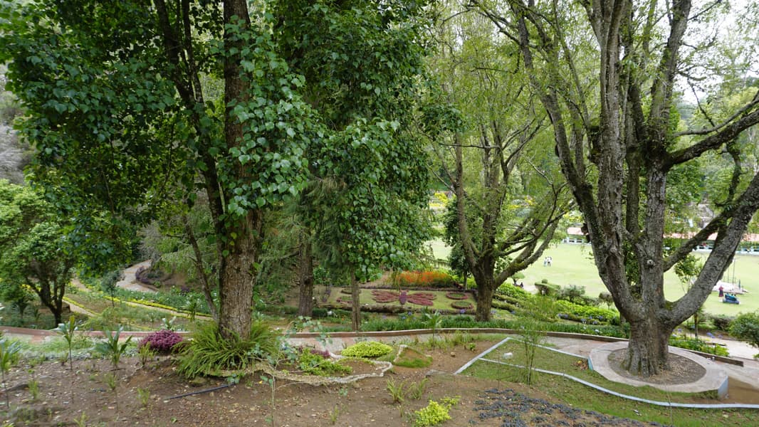 Kodaikanal Sightseeing Tour Image