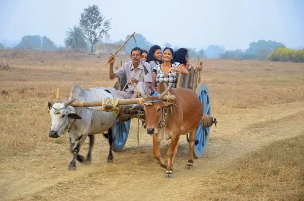 Photo from Jyoti Joshi's trip