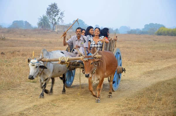 Photo from Jyoti Joshi's trip