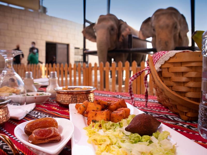 Dinner with Elephants at Emirates Park Zoo