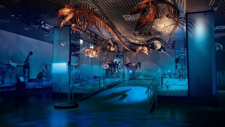 Explore the Temporary Exhibitions