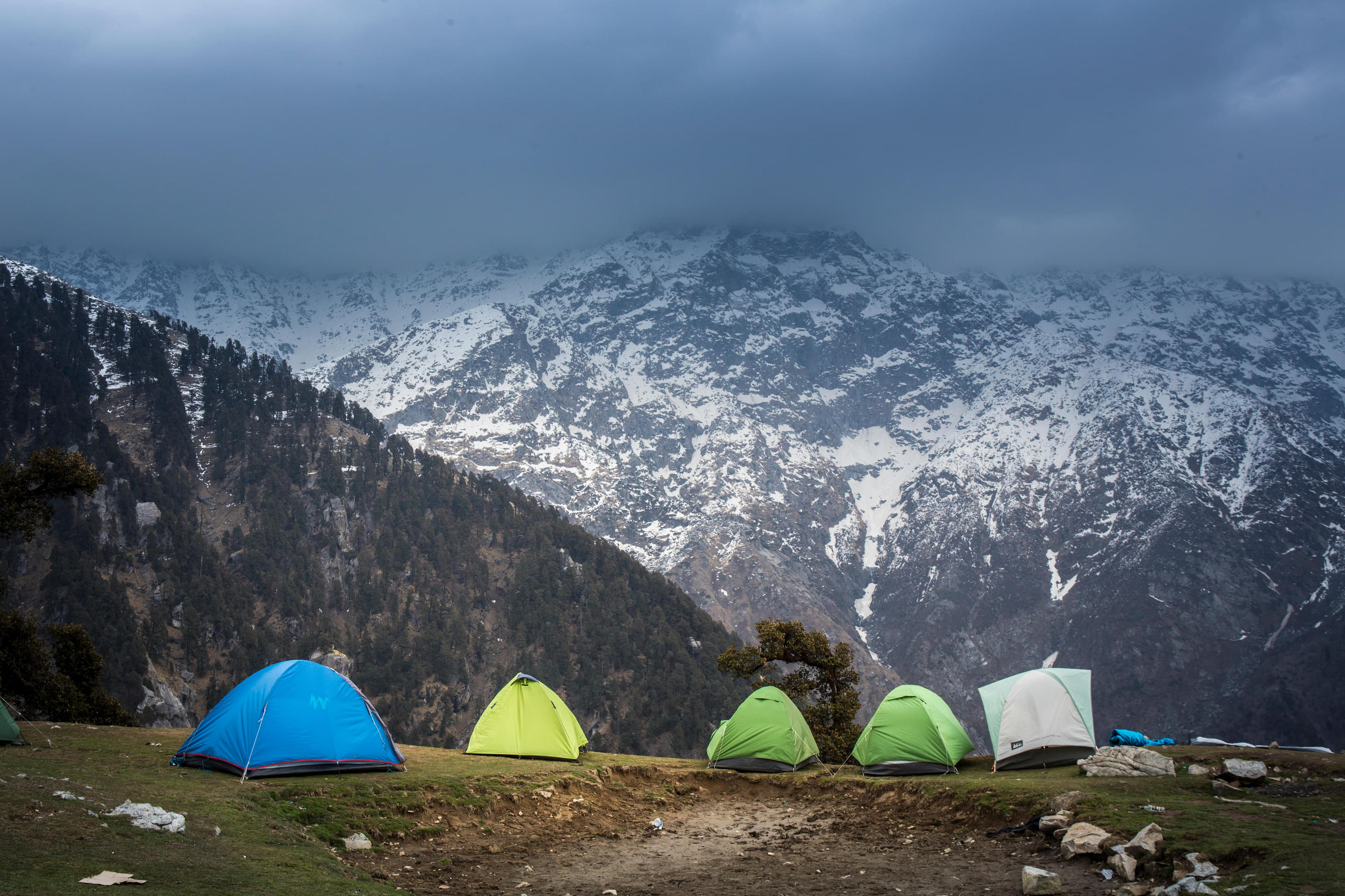 Short Treks in Himachal Pradesh (Flat 45% Off)