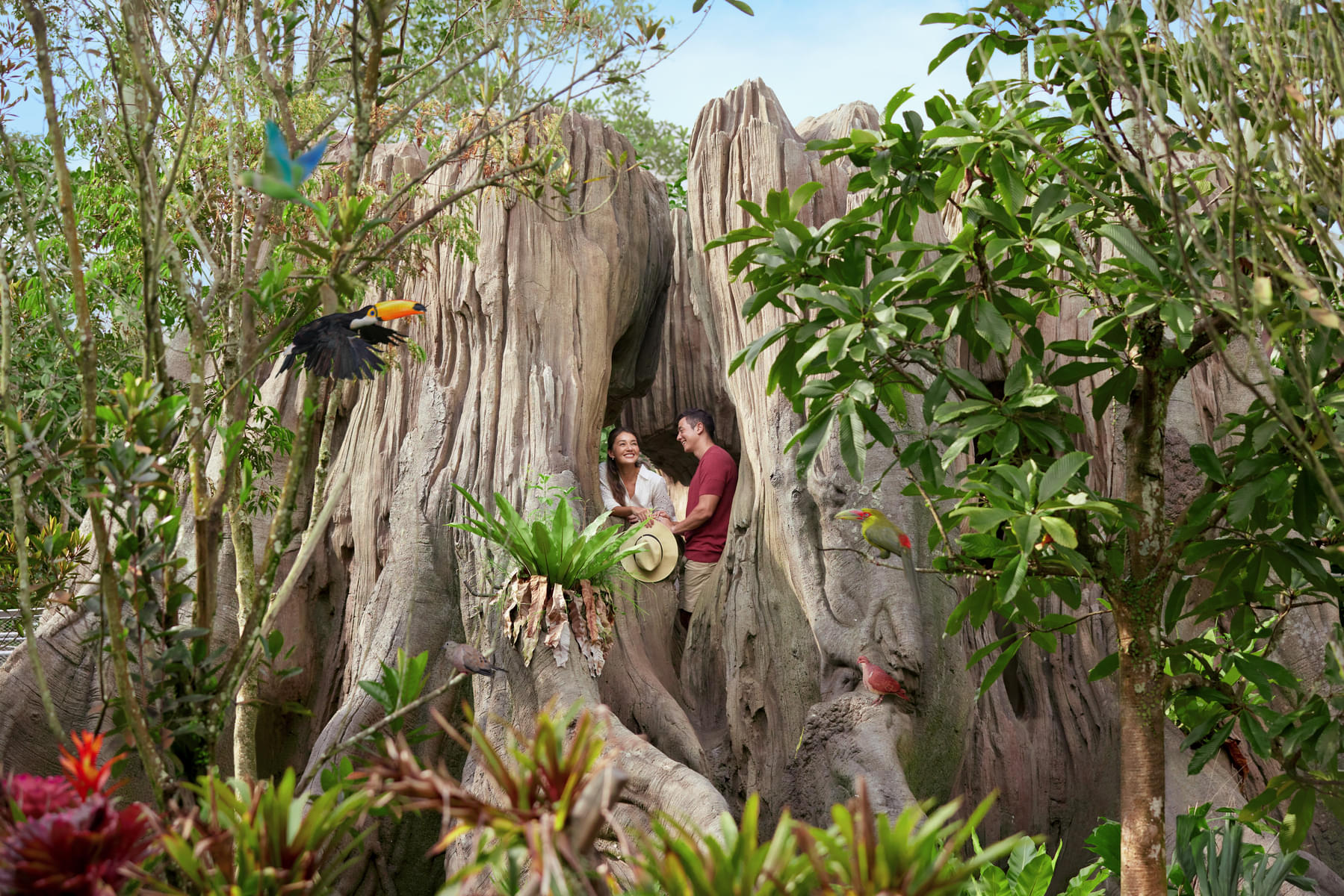 Enjoy a fun filled day with your family exploring the Bird Paradise