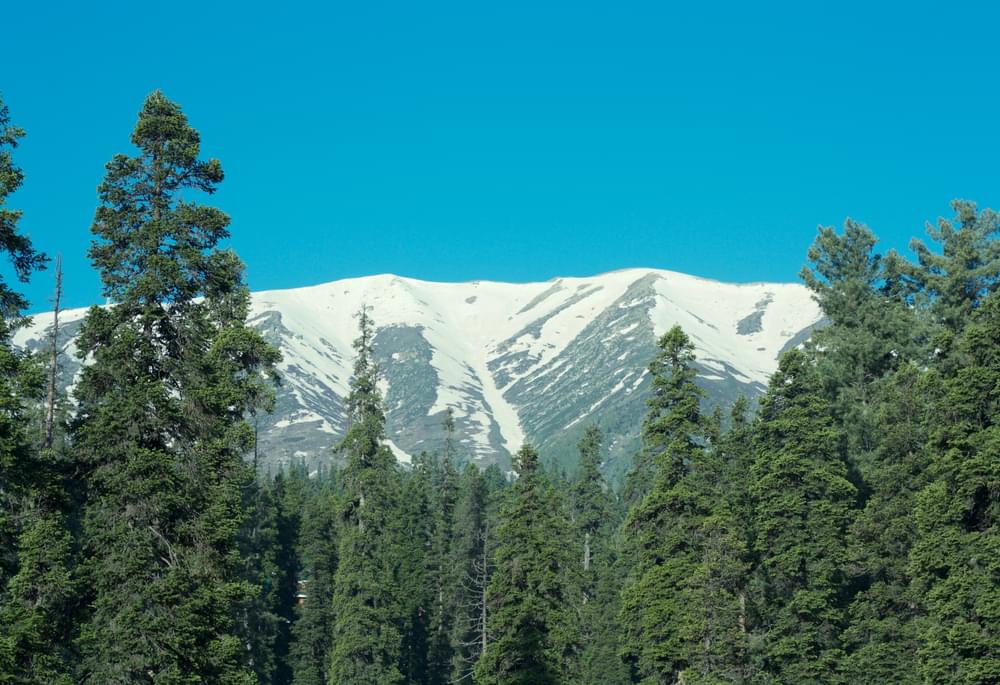 Gulmarg Biosphere Reserve