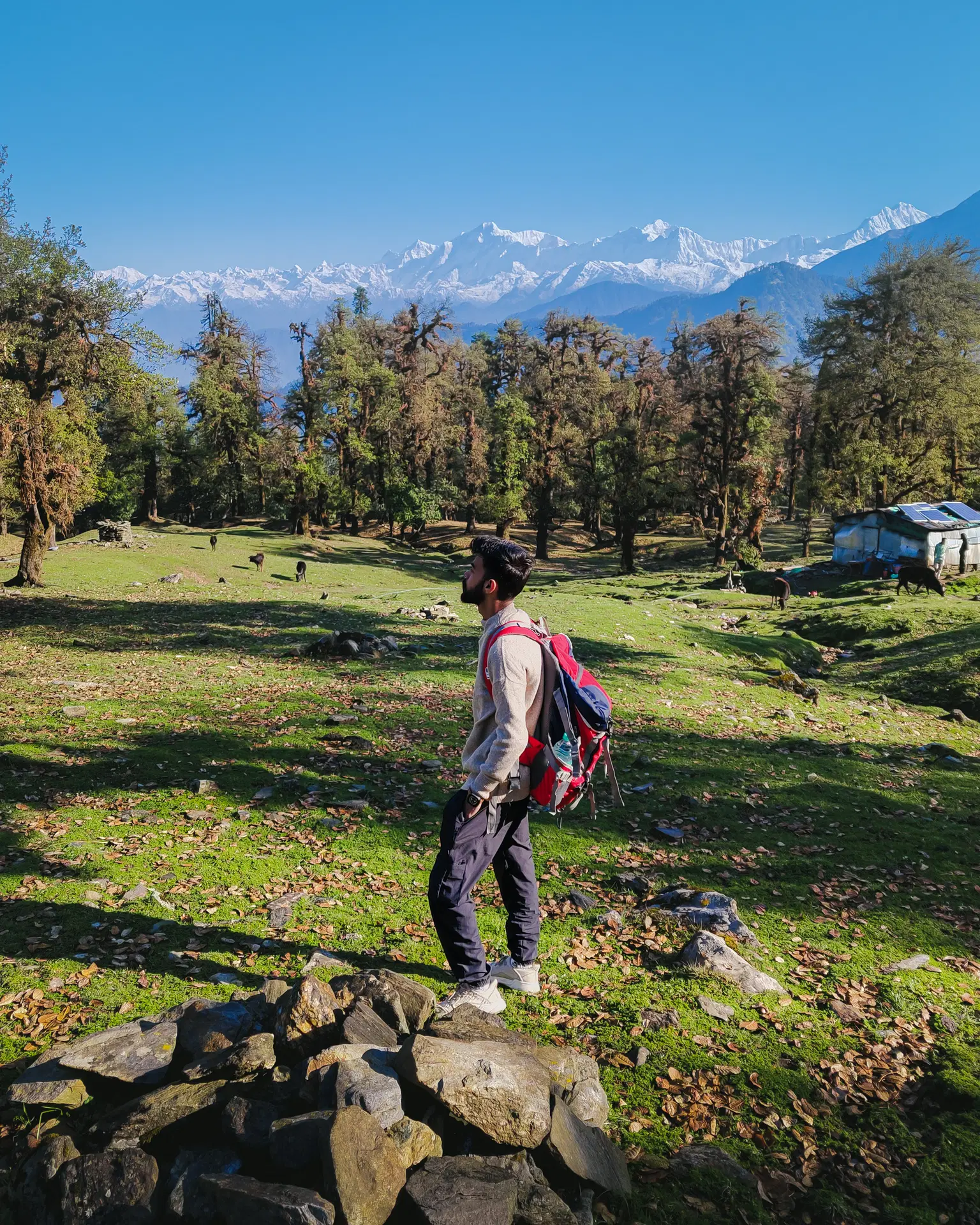Photo from Aman  Aman 's trip