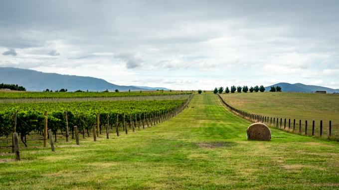 Things To Do In Yarra Valley